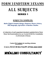 F3 ENDTERM 3 EXAMS S1 (2).pdf